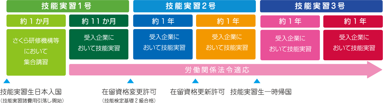 技能 実習 3 号 ロ